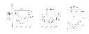 NOWH spec.webp
