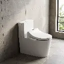 ComfyUI_00244_.webp