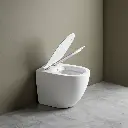 ComfyUI_00384_.webp
