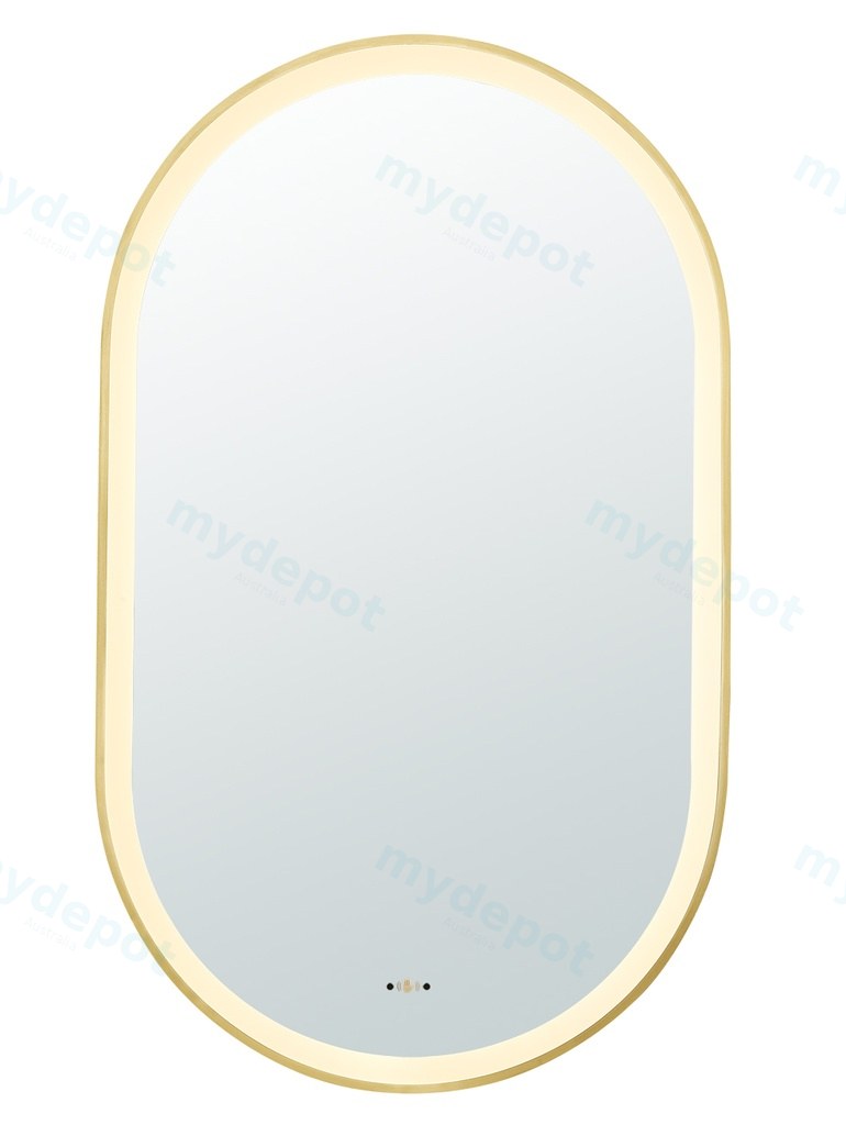 [55954] 450(W)*900mm(H) Brushed Gold Ellips Framed LED Mirror