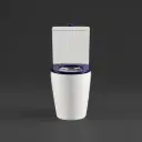 650×380×800mm Hadden Wall Faced Toilet Suite Rimless Flush