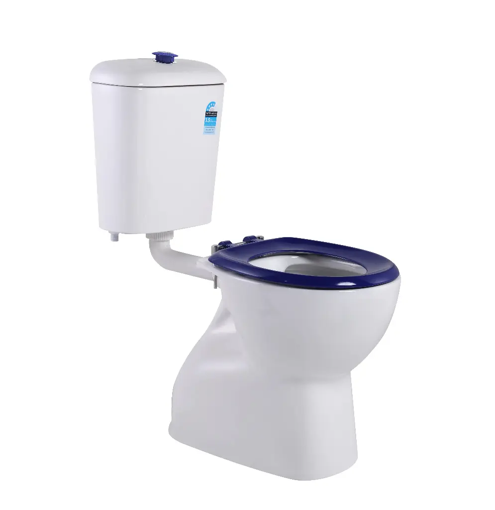 Carrida Care Toilet Cistern With Blue Button