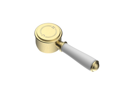 Clasico Ceramic Handle in Brushed Gold
