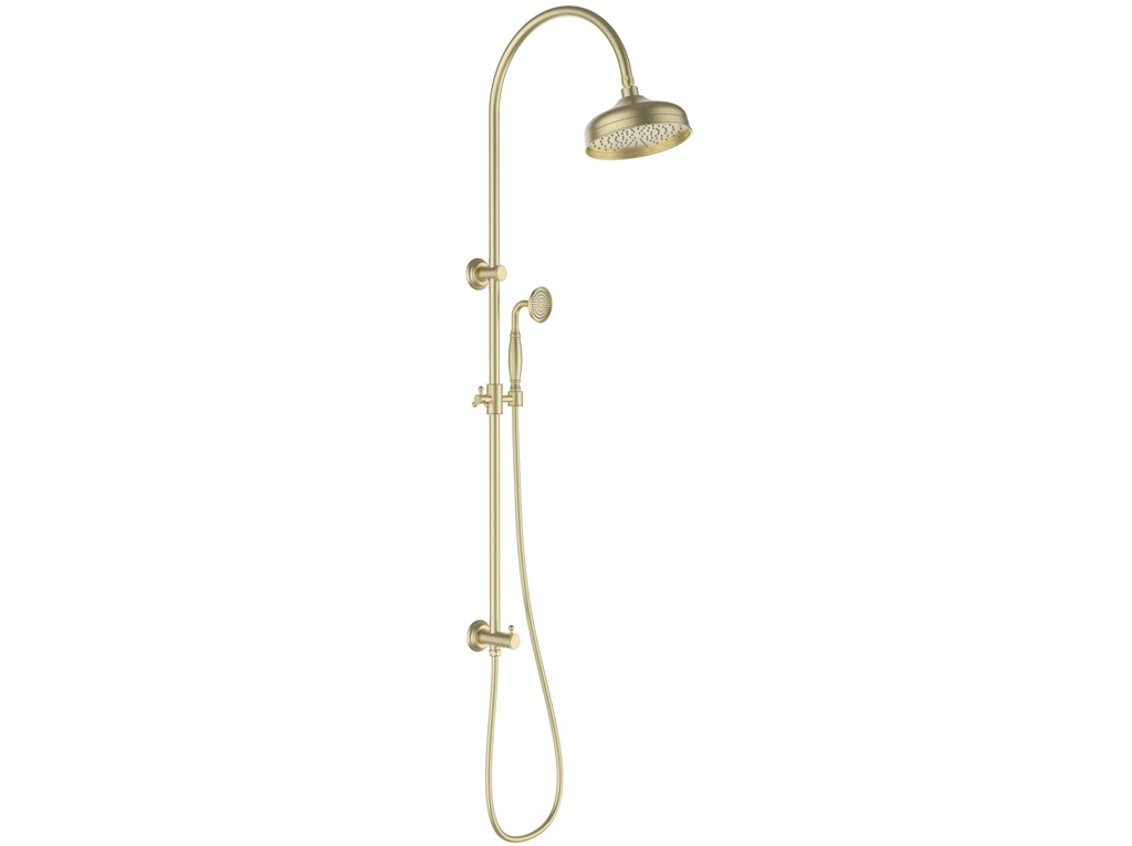 Clasico Combination Shower Set In Brushed Gold