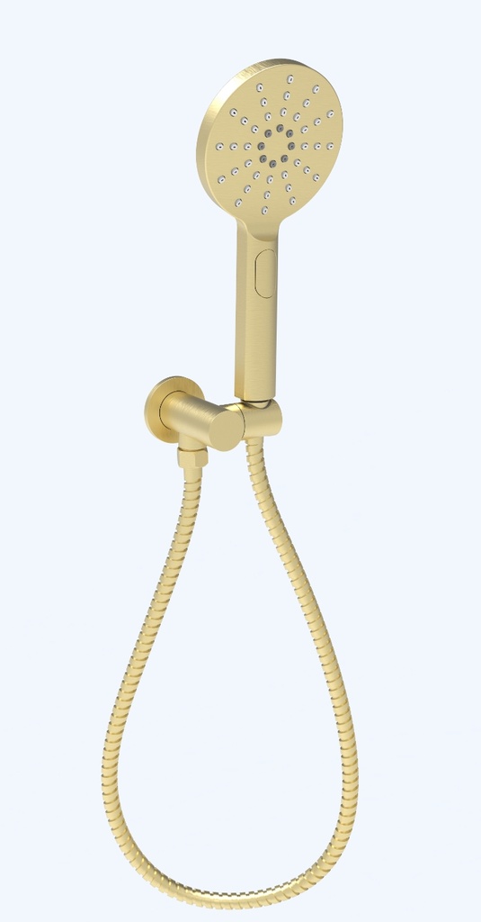 Cora Round Hand Shower On Wall Outlet Bracket Brushed Gold