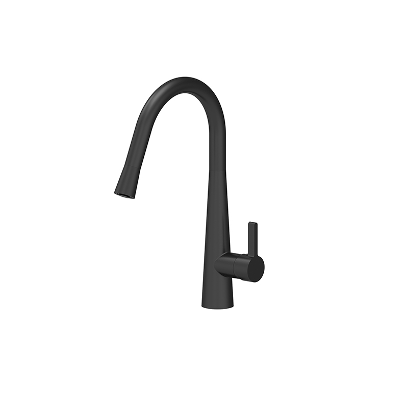 Designer Gooseneck Pull Out Kitchen Mixer Matte Black