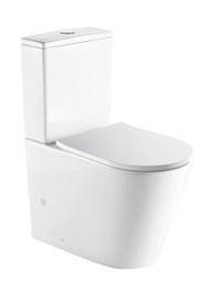 Hali Rimless Wall Faced Toilet