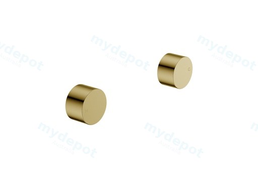 [43950] Tana 1/4 turn C/D Wall Top Assembly Brushed Gold